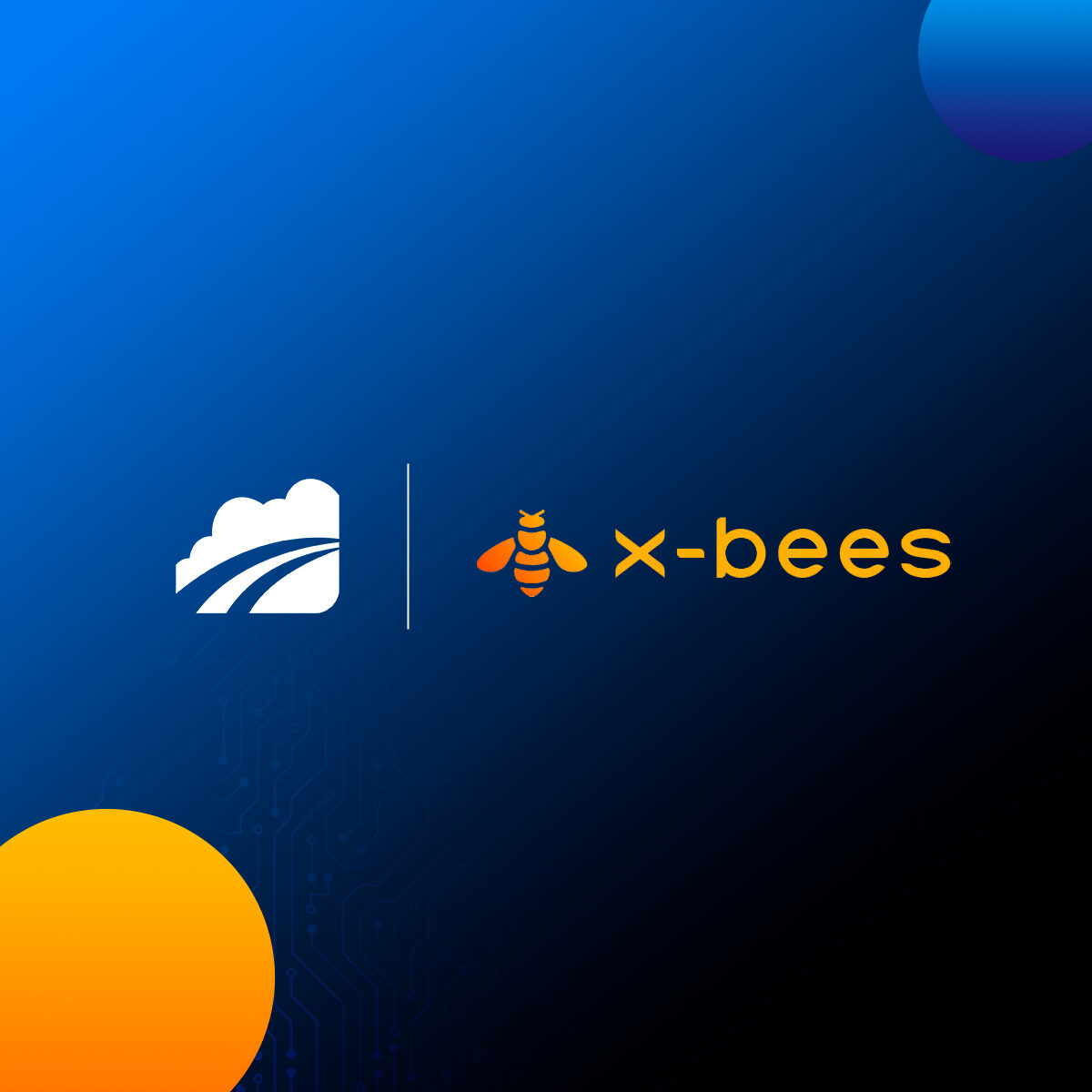 x-bees x-bees